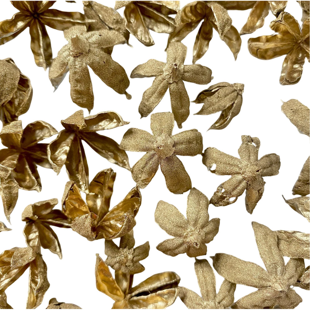 Dried Gold flowers | homegrown and handmade preserved Hibiscus seed pods